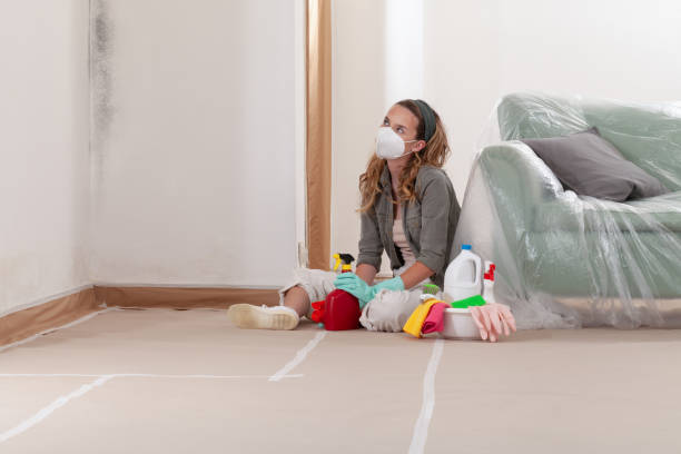 Reliable Mold Testing contractor in Rosedale, WA by WQB Mold Removal